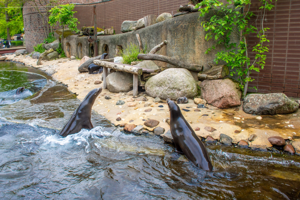 2025_05_04_Thorsten_Wolf_Zoo-9.jpg