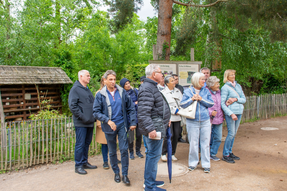 2025_05_04_Thorsten_Wolf_Zoo-29.jpg